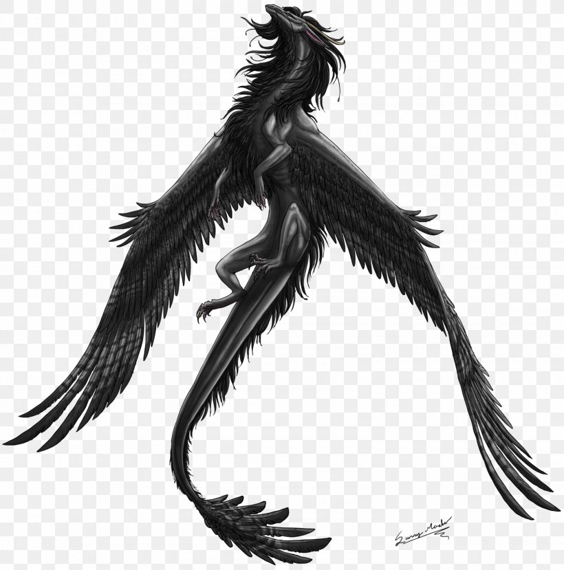 Dragon Feather Drawing Demon, PNG, 1600x1619px, Dragon, Art, Beak, Bird, Black And White Download Free