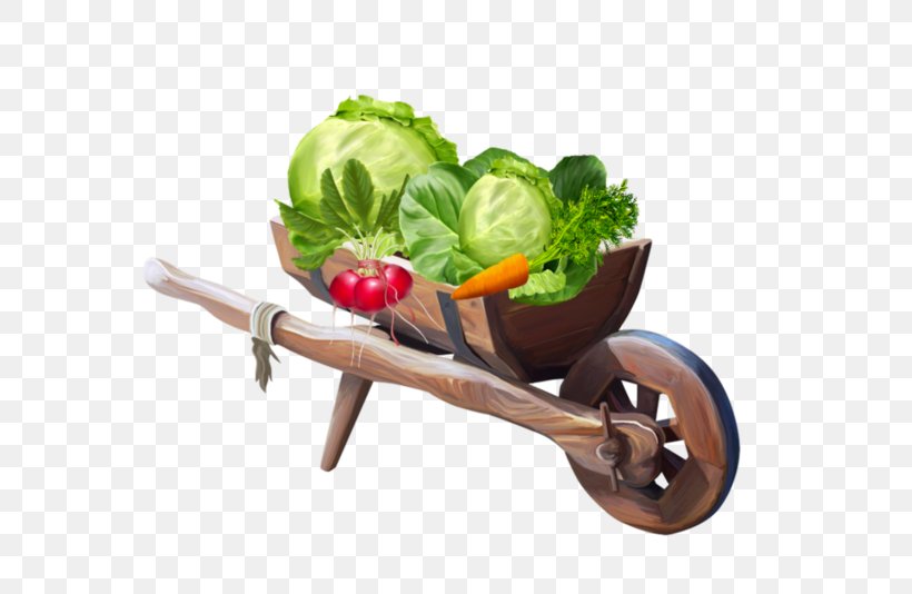 Drawing Clip Art, PNG, 600x534px, Drawing, Albom, Chinese Cabbage, Diet Food, Food Download Free