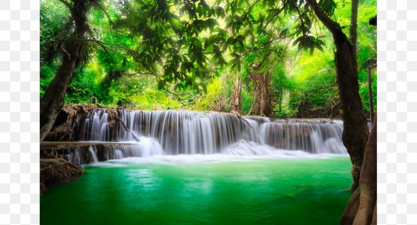 Landscape Waterfall Spring Mural, PNG, 1228x662px, Landscape, Body Of Water, Chute, Creek, Forest Download Free