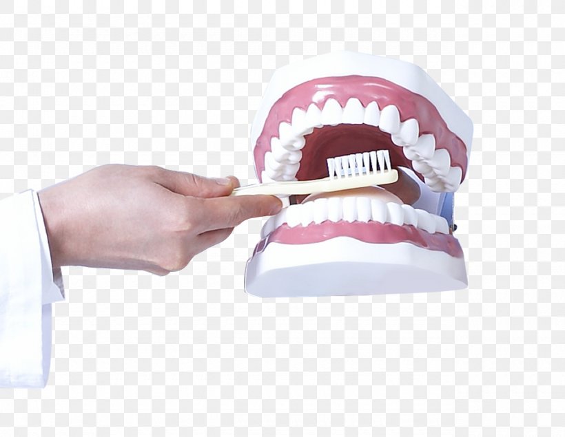 Tooth Dentistry Health Care, PNG, 1280x992px, Tooth, Autoclave, Dental Instruments, Dentistry, Dentures Download Free