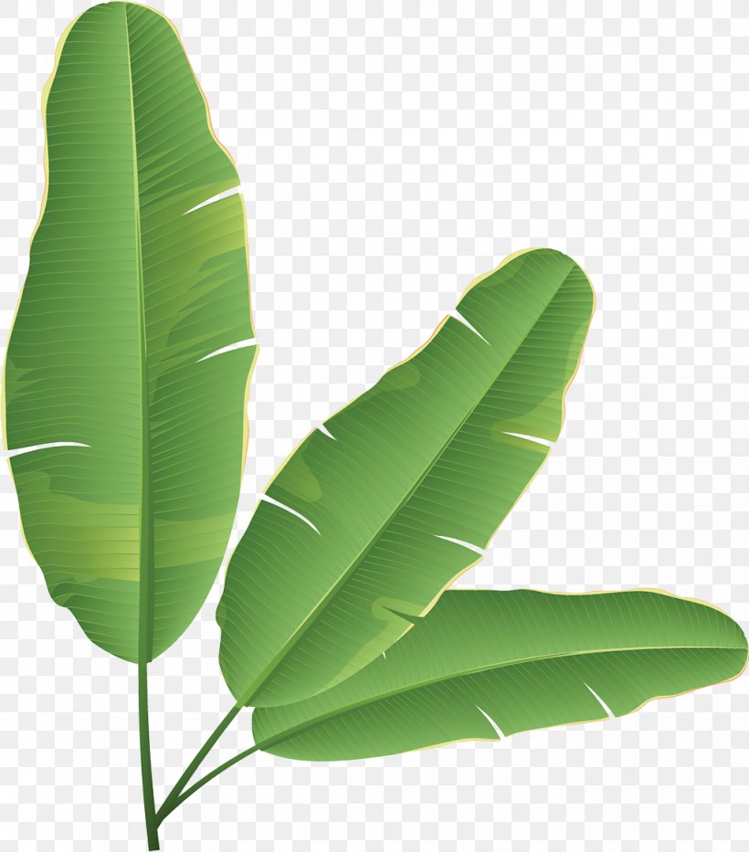 Banana Leaf Banana Bread Clip Art, PNG, 1021x1162px, Banana Bread, Banana, Banana Leaf, Drawing, Green Download Free