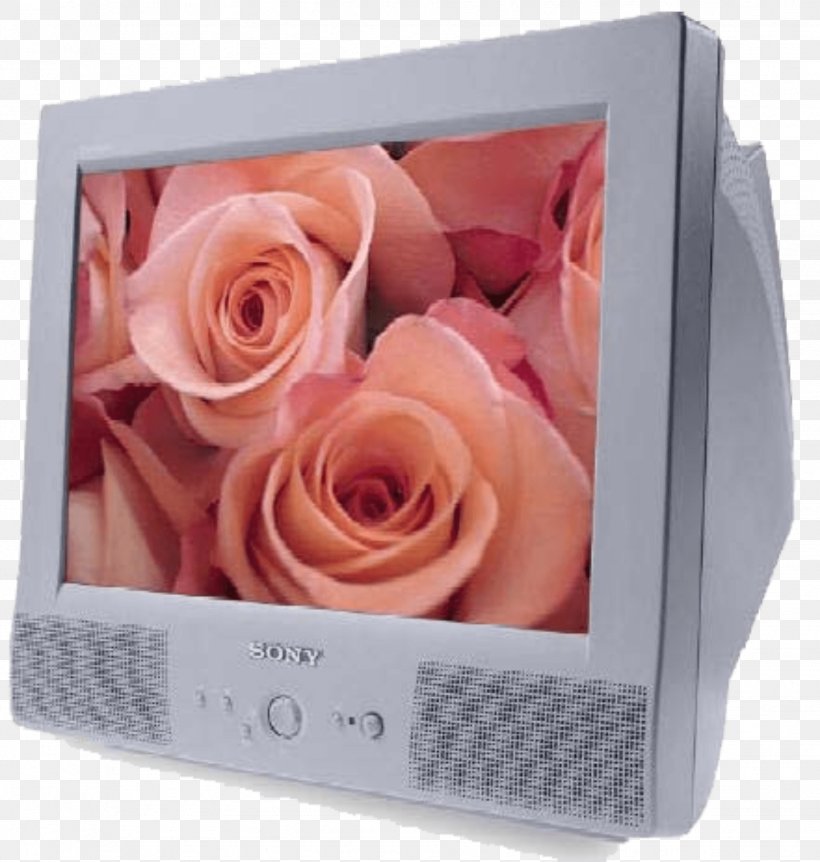 Big Apple Computers Big Apple Properties Garden Roses, PNG, 1838x1934px, Garden Roses, Business, Cathode Ray Tube, Computer, Computer Monitors Download Free