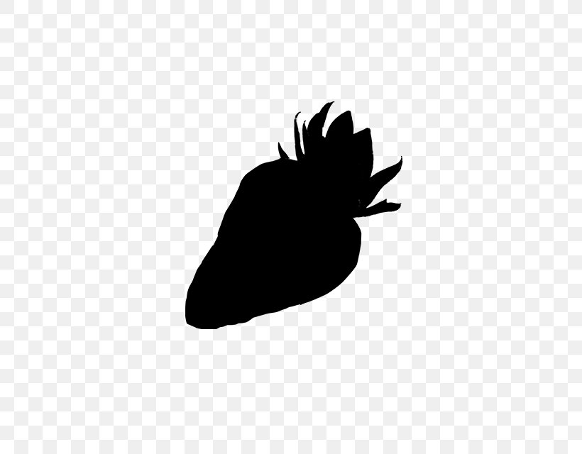 Clip Art Silhouette Beak, PNG, 640x640px, Silhouette, Beak, Black, Blackandwhite, Feather Download Free