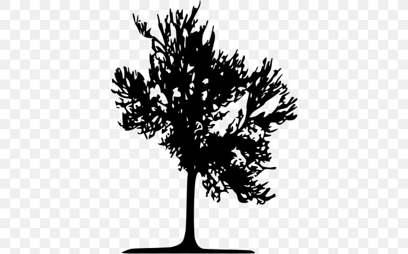 Tree Silhouette NA-11 (Kohistan-cum-Lower Kohistan-cum-Kolai Palas Kohistan) Twig, PNG, 512x512px, Tree, Black, Black And White, Branch, Leaf Download Free