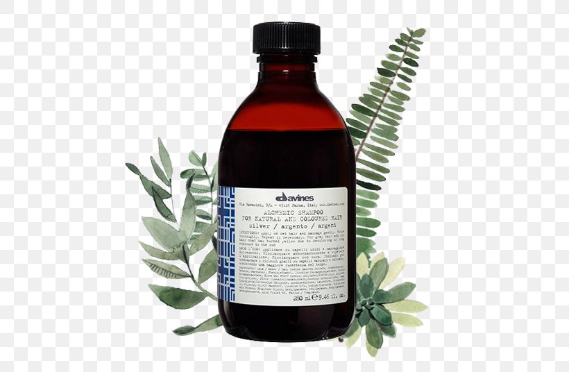 Davines Alchemic Silver Shampo Shampoo Brush Palm Springs, PNG, 536x536px, Shampoo, Beauty Parlour, Brown Hair, Brush, Color Download Free