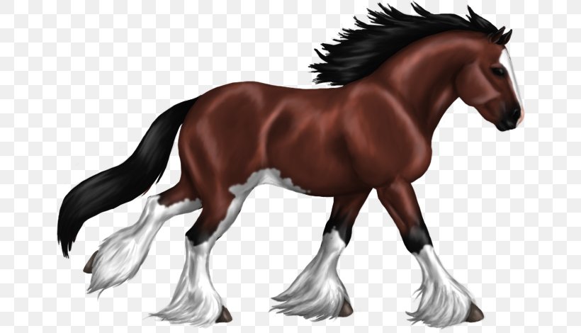 Foal Stallion Clydesdale Horse Mustang Colt, PNG, 666x470px, Foal, Animal Figure, Bridle, Budweiser Clydesdales, Clydesdale Horse Download Free