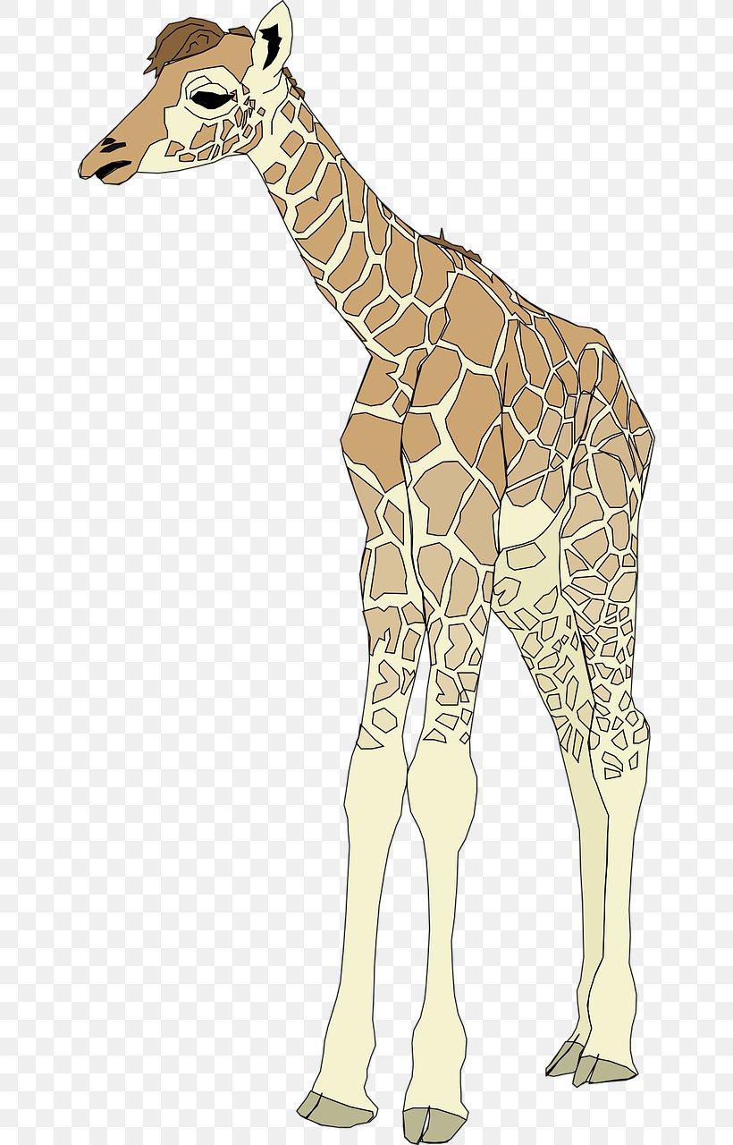 Giraffe Clip Art, PNG, 646x1280px, Giraffe, Cartoon, Drawing, Fauna, Giraffidae Download Free