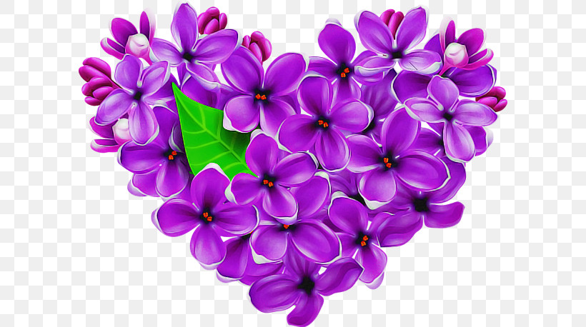 Lavender, PNG, 600x458px, Flower, Annual Plant, Common Lilac, Cut Flowers, Lavender Download Free