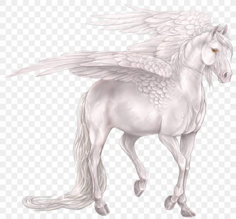 Pegasus Horse Unicorn Wallpaper, PNG, 900x834px, Pegasus, Bestiary, Black And White, Centaur, Deviantart Download Free
