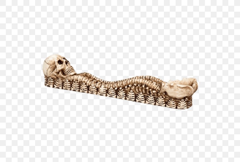 Skull Skeleton Censer Incense Bowl, PNG, 555x555px, Skull, Beige, Bone, Bowl, Candelabra Download Free
