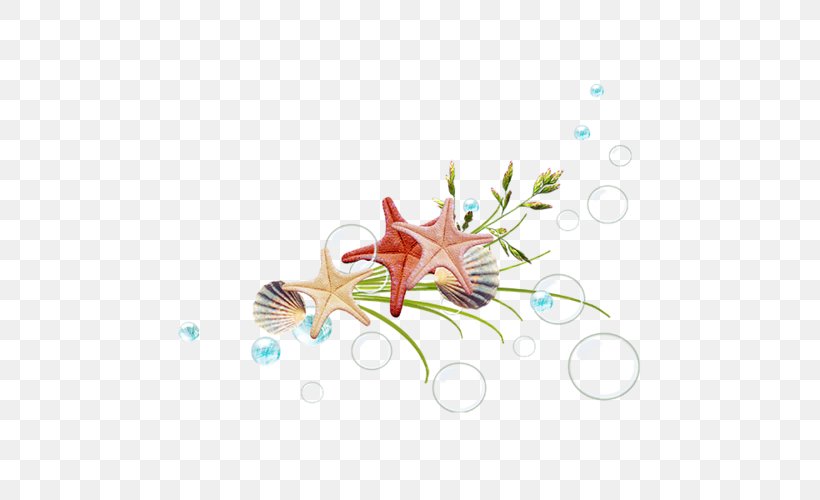 Starfish Designer, PNG, 500x500px, Starfish, Branch, Designer, Flora, Floral Design Download Free