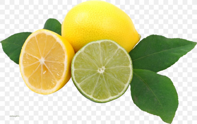 Lemonade Key Lime, PNG, 1024x644px, Lemon, Bitter Orange, Candy, Citric Acid, Citron Download Free