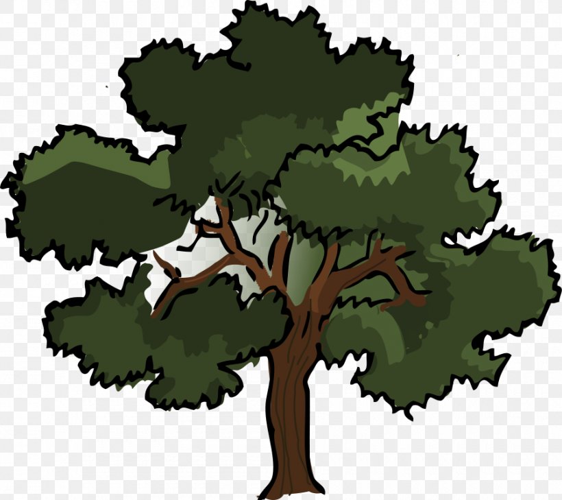 Oak Tree Clip Art, PNG, 900x801px, Oak, Autumn Leaf Color, Cartoon, Drawing, Flowering Plant Download Free