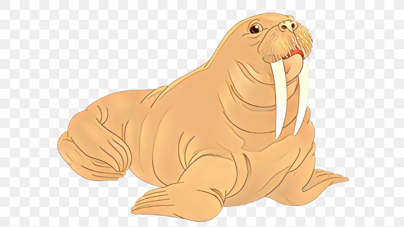 Seal Walrus California Sea Lion Animal Figure Earless Seal, PNG, 1600x900px, Seal, Animal Figure, California Sea Lion, Earless Seal, Fur Seal Download Free