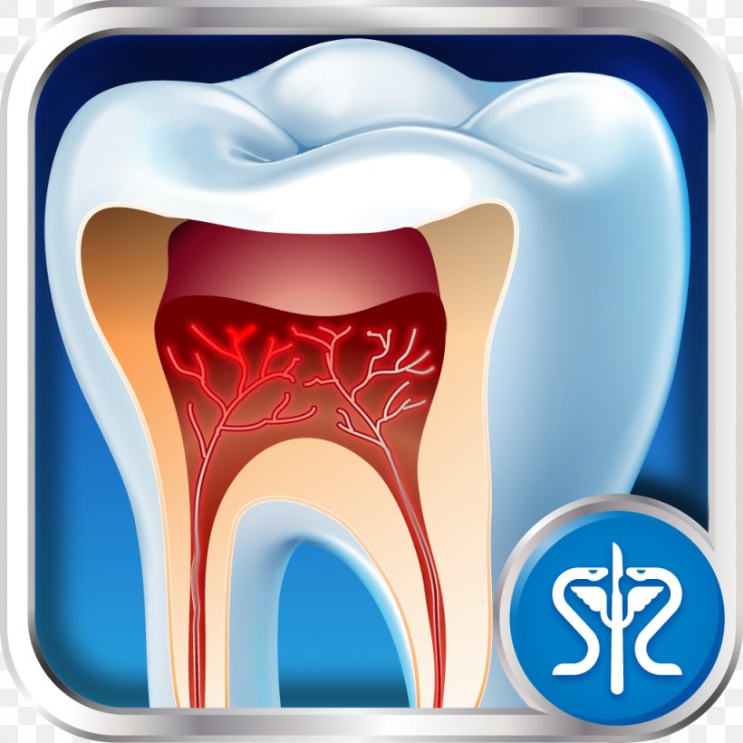 Tooth Dentistry Medicine Surgery, PNG, 1024x1024px, Watercolor, Cartoon, Flower, Frame, Heart Download Free
