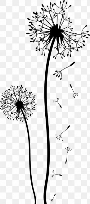 Black And White Line Drawing Vector Dandelion, PNG, 500x512px, Common ...