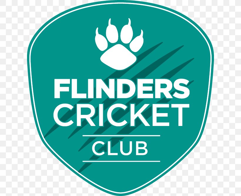 Matthew Flinders Anglican College Netball Goalkeeper Cricket Cardiology, PNG, 636x669px, Netball, Anglicanism, Area, Brand, Cardiology Download Free