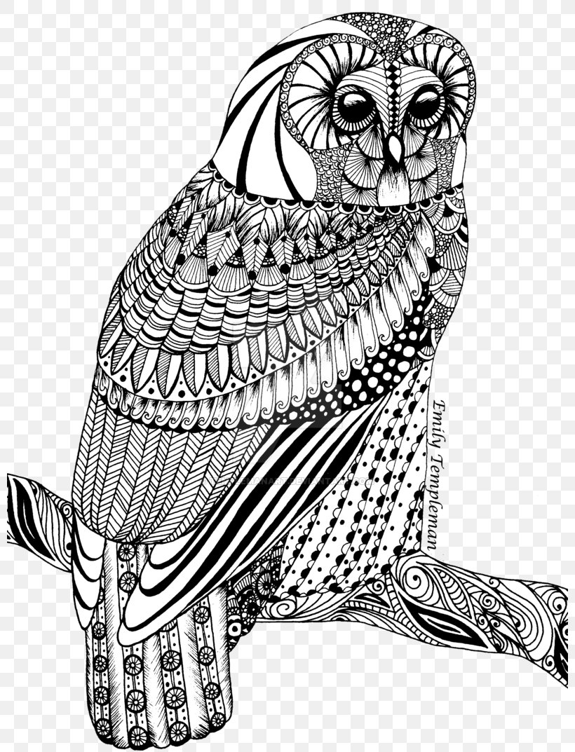 Tawny Owl Drawing Line Art, PNG, 800x1073px, Owl, Art, Beak, Bird, Bird Of Prey Download Free
