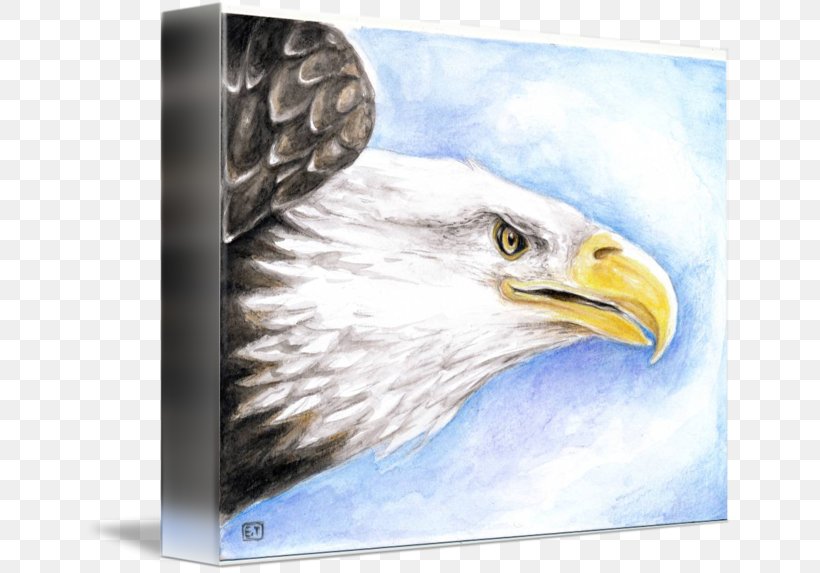 Bald Eagle IPhone 6S Beak, PNG, 650x573px, Bald Eagle, Accipitriformes, Beak, Bird, Bird Of Prey Download Free