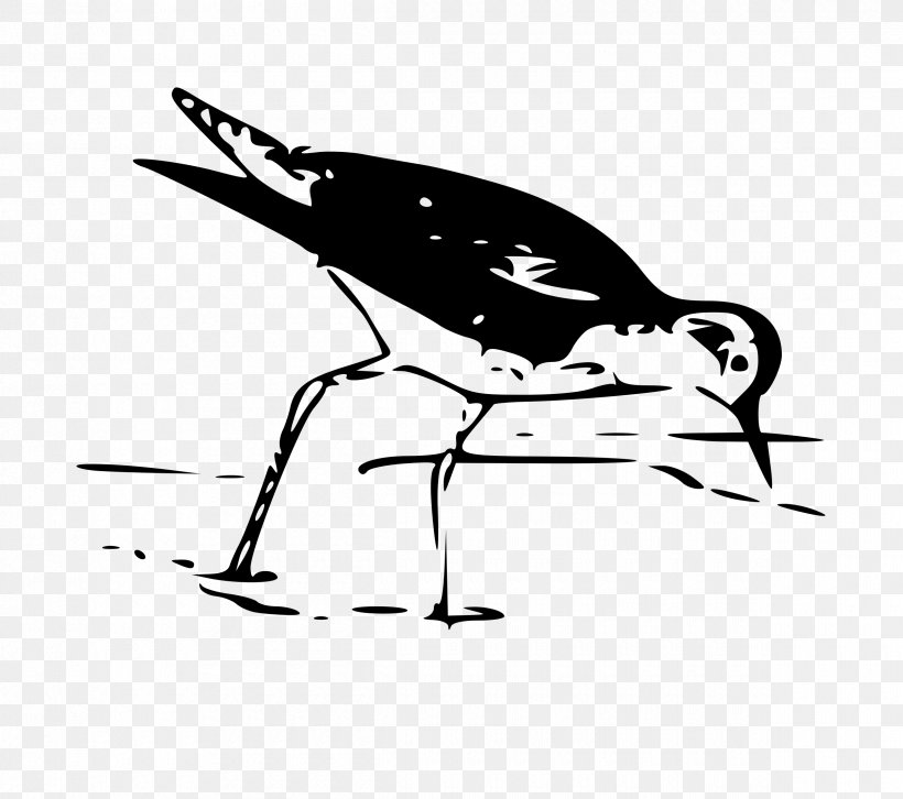 Bird European Herring Gull Wader Clip Art, PNG, 2400x2125px, Bird, Arctic Tern, Art, Artwork, Avocet Download Free