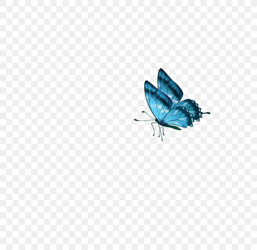 Butterfly Download, PNG, 800x800px, Butterfly, Azure, Blue, Computer, Flower Download Free