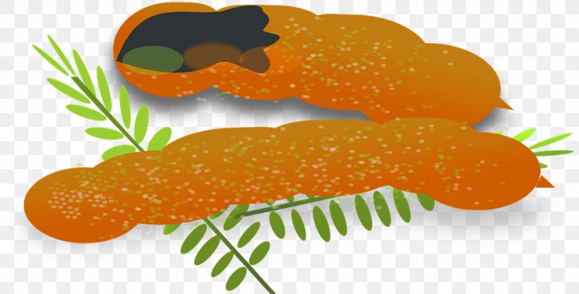 Clip Art Tamarind, PNG, 960x489px, Tamarind, Baby Carrot, Carrot, Cuisine, Fish Download Free