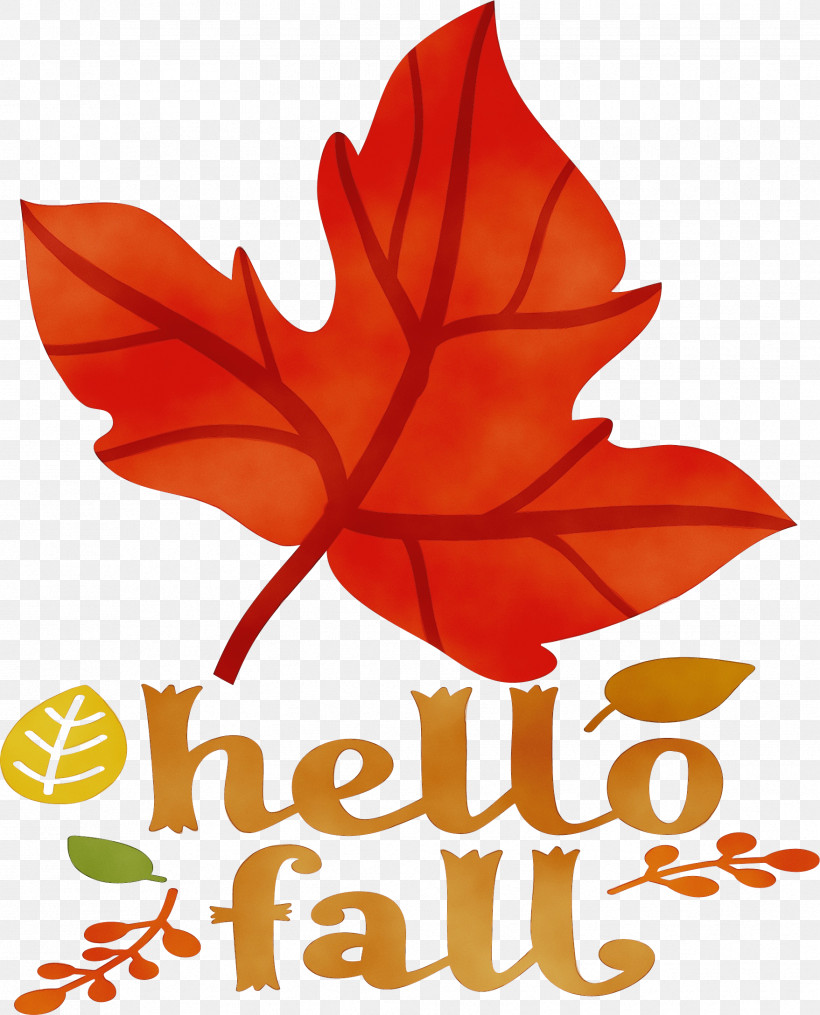 Flower Maple Leaf / M Leaf Petal Tree, PNG, 1757x2176px, Hello Fall, Autumn, Biology, Fall, Flower Download Free