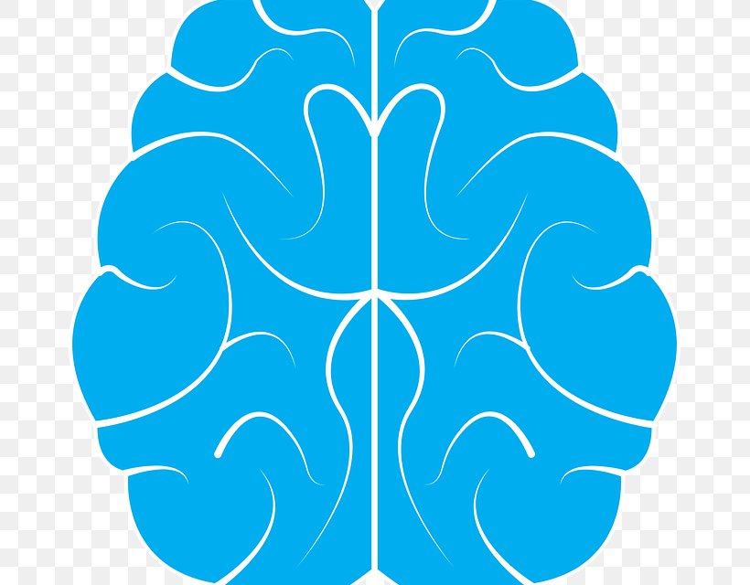 Human Brain, PNG, 669x640px, Brain, Area, Blue, Brain Tumor, Electric Blue Download Free