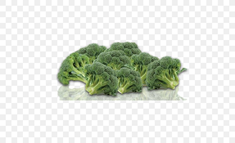 Broccoli Retail Sales Fashion, PNG, 500x500px, Broccoli, Fashion, Food, Leaf Vegetable, Retail Download Free