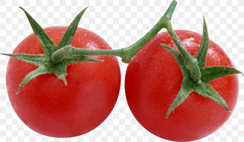 Cherry Tomato, PNG, 2360x1376px, Cherry Tomato, Bush Tomato, Diet Food, Food, Fruit Download Free