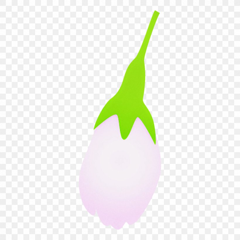 Green Eggplant Leaf Plant Tree, PNG, 1200x1200px, Green, Eggplant, Leaf, Logo, Pear Download Free