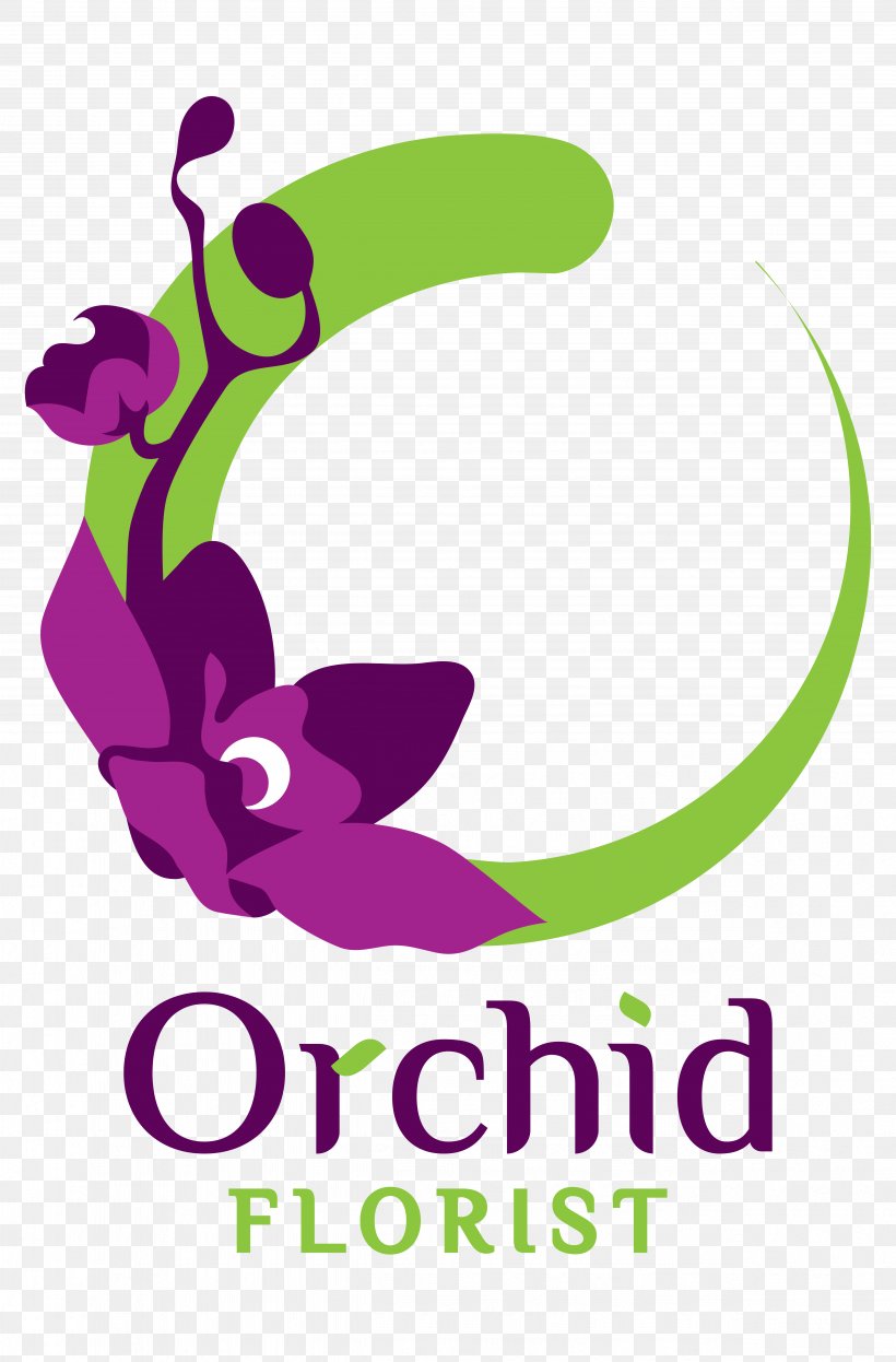 Flower Moth Orchids Dancing-lady Orchid Floristry Orchid Store, PNG, 4939x7509px, Flower, Area, Artwork, Aucuba, Brand Download Free
