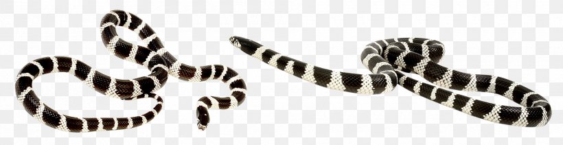 Reptile California Kingsnake Vipers, PNG, 1920x495px, Reptile, Animal, California Kingsnake, Coral Snake, Crotalus Mitchellii Download Free