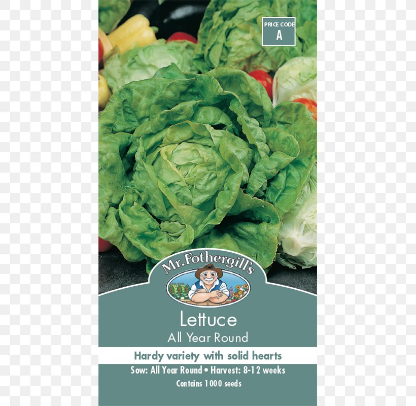 Romaine Lettuce Cruciferous Vegetables Spring Greens, PNG, 800x800px, Romaine Lettuce, Cabbage, Chard, Cruciferous Vegetables, Food Download Free