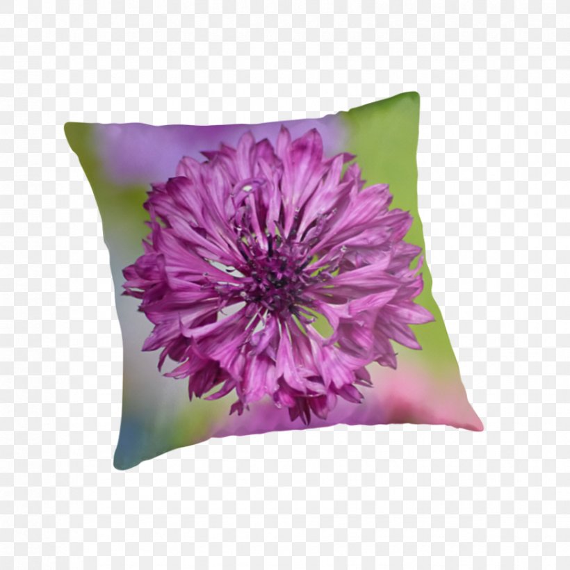 Throw Pillows Cushion Flowering Plant, PNG, 875x875px, Throw Pillows, Cushion, Flower, Flowering Plant, Magenta Download Free