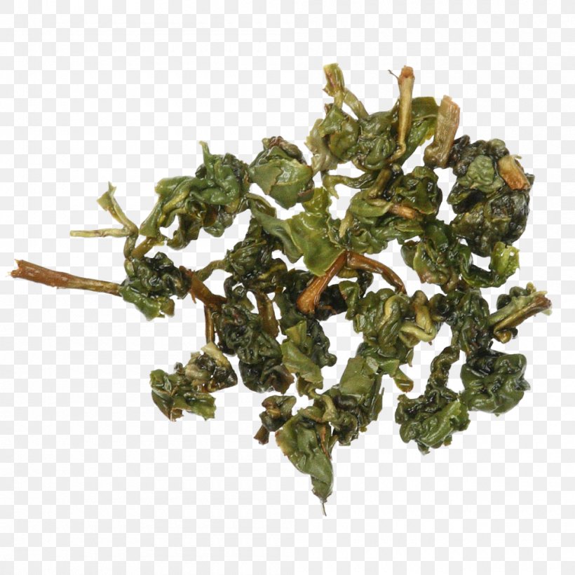 Tieguanyin Leaf Vegetable, PNG, 1000x1000px, Tieguanyin, Herb, Leaf Vegetable, Oolong Download Free