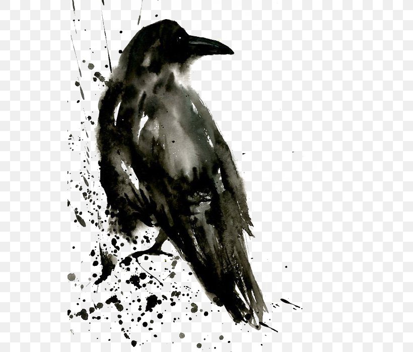 Common Raven Watercolor Painting Tattoo The Shining Isle, PNG, 551x699px, Common Raven, American Crow, Art, Arts, Beak Download Free