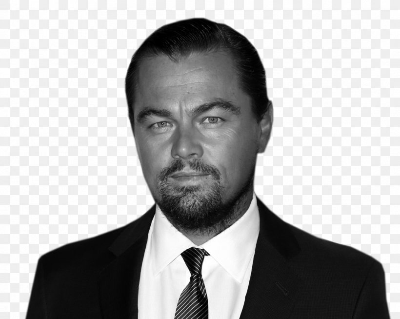 Leonardo DiCaprio Hollywood The Wolf Of Wall Street Actor Film Producer, PNG, 1093x873px, Leonardo Dicaprio, Actor, Black And White, Business, Business Executive Download Free