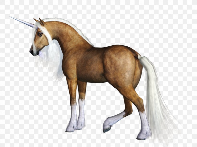 Unicorn, PNG, 1024x768px, Unicorn, Bridle, Colt, Computer Graphics, Fictional Character Download Free