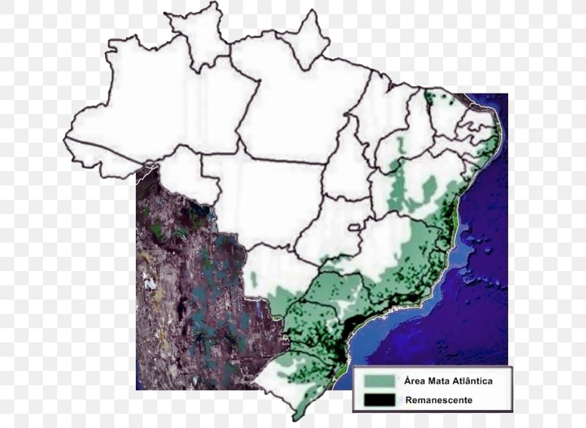 Atlantic Forest Map Southeast Region, Brazil Wildlife Corridor Northeast Region, Brazil, PNG, 646x600px, Atlantic Forest, Area, Biome, Brazil, Centralwest Region Brazil Download Free