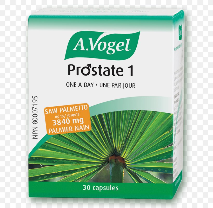 Benign Prostatic Hyperplasia Capsule Saw Palmetto Prostate Dietary Supplement, PNG, 800x800px, Benign Prostatic Hyperplasia, Alfred Vogel, Brand, Capsule, Dietary Supplement Download Free