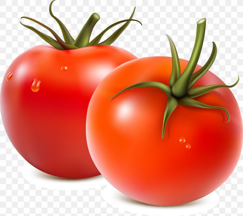 Fruit Salad Vegetable Tomato, PNG, 1752x1557px, Fruit Salad, Bell Pepper, Bush Tomato, Diet Food, Food Download Free