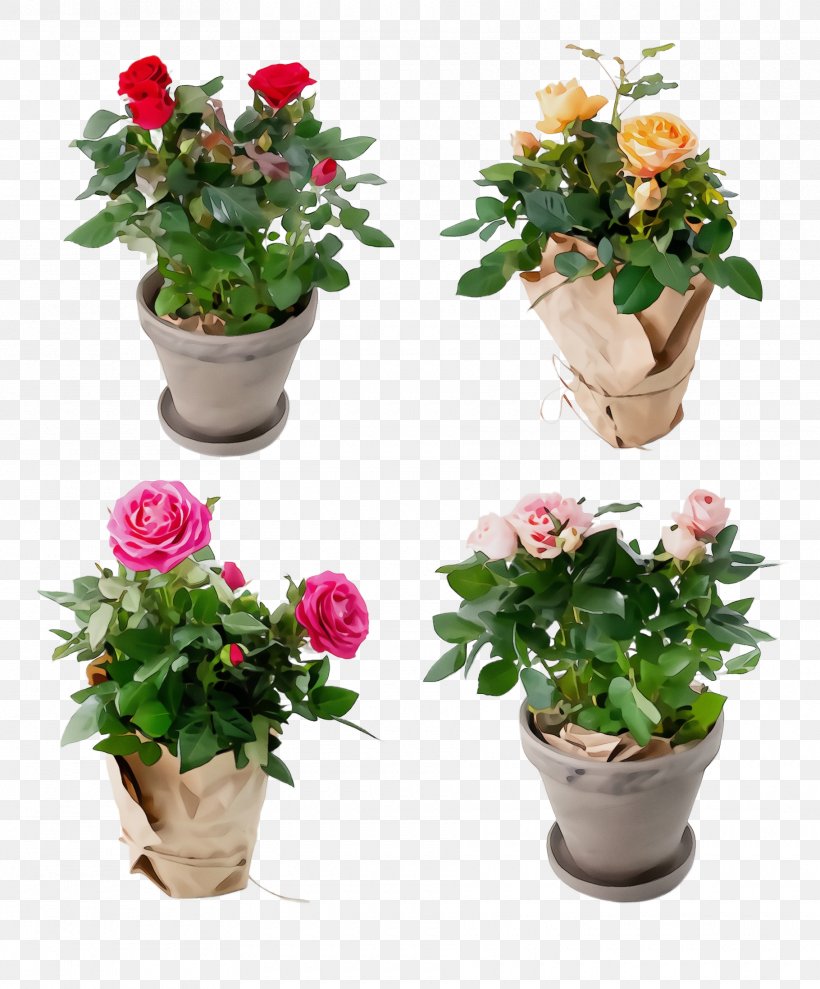 Garden Roses, PNG, 1820x2196px, Watercolor, Flower, Flowering Plant, Flowerpot, Garden Roses Download Free