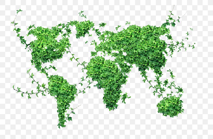 World Map, PNG, 760x536px, World, Branch, Grass, Herbalism, Istock Download Free