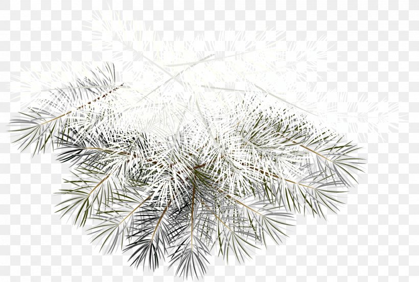 Christmas Ornament Clip Art, PNG, 2000x1348px, Christmas, Black And White, Branch, Christmas Decoration, Christmas Ornament Download Free