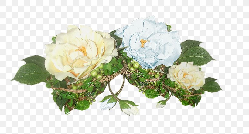 Garden Roses Moutan Peony Cut Flowers, PNG, 800x442px, Garden Roses, Artificial Flower, Color, Computer Software, Cornales Download Free