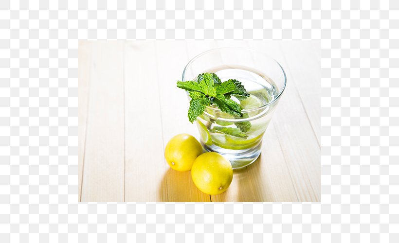 Mojito Lemonade Limeade Limonana, PNG, 500x500px, Mojito, Cocktail, Drink, Garnish, Health Shake Download Free