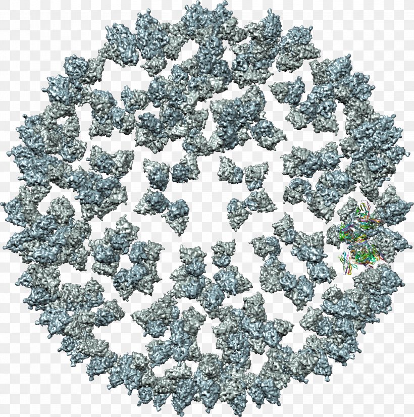 Clip Art Mosaic Virus Computer Software, PNG, 1645x1658px, Mosaic Virus, Computer, Computer Software, Computer Virus, Mosaic Download Free