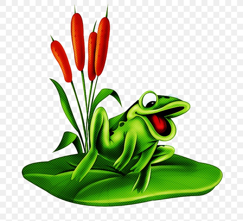 Frog Cartoon, PNG, 730x745px, Tree Frog, American Green Tree Frog, Animal, Anthurium, Australian Green Tree Frog Download Free