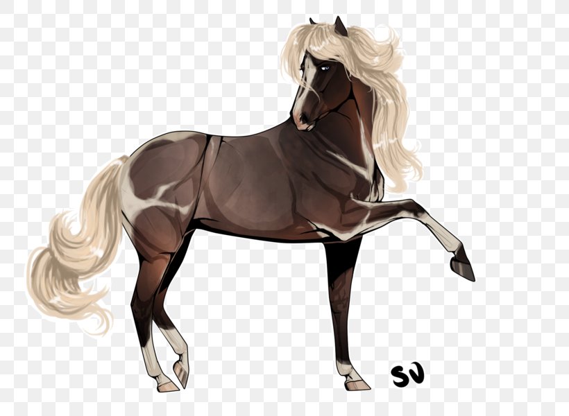 Stallion Mustang Mare Rein Bridle, PNG, 800x600px, Stallion, Animal, Art, Breed, Bridle Download Free
